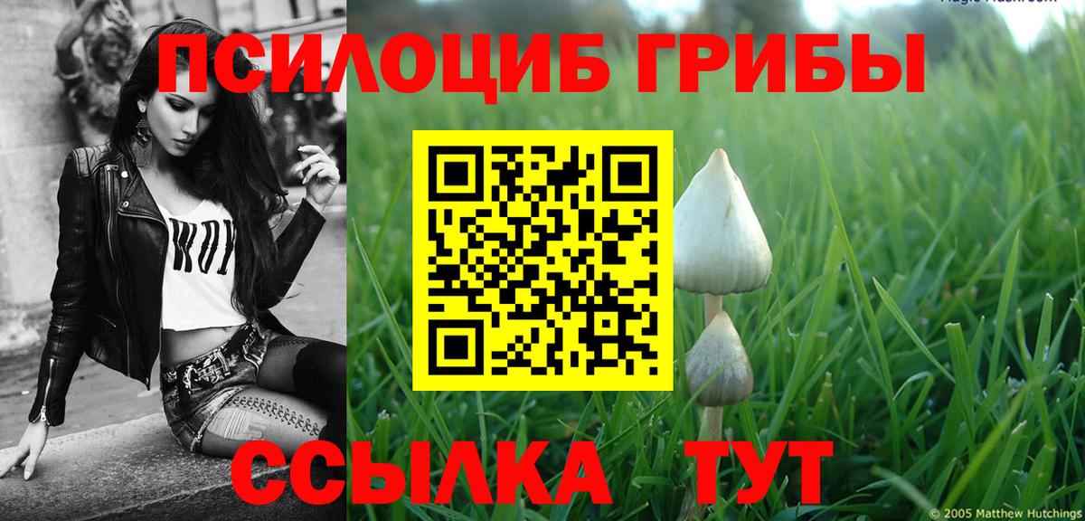 Галлюциногенные грибы Magic Shrooms Алапаевск
