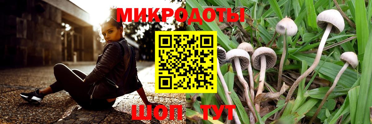 Галлюциногенные грибы ЛСД  Псилоцибиновые грибы прущие грибы  Вход с VPN  Алапаевск 